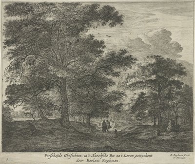Forest Path in The Hague Forest by Roelant Roghman