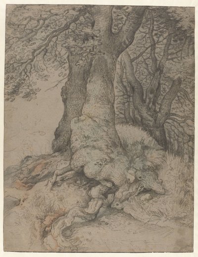 Study of Tree Trunks and Roots by Roelant Savery