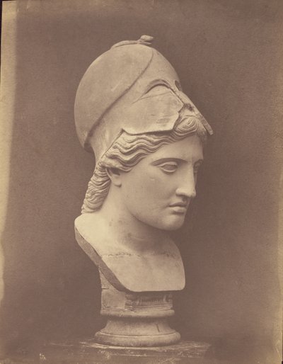 Head of Minerva (3/4 view) by Roger Fenton