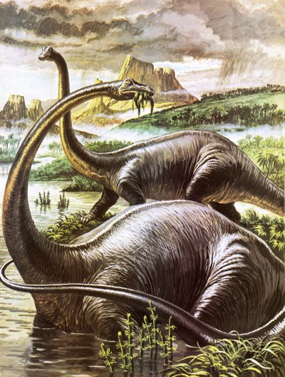 Diplodocus by Roger Payne