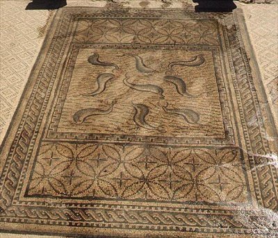 Dolphins, Roman Mosaic from the House of Orpheus by Roman