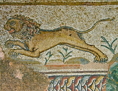 Hunting Scene, Detail of a Lion, House of Dionysos, Paphos, Cyprus by Roman