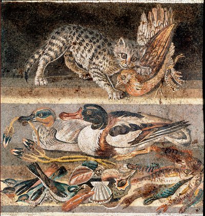 Roman art: cat eating a partridge, and wild ducks by Roman