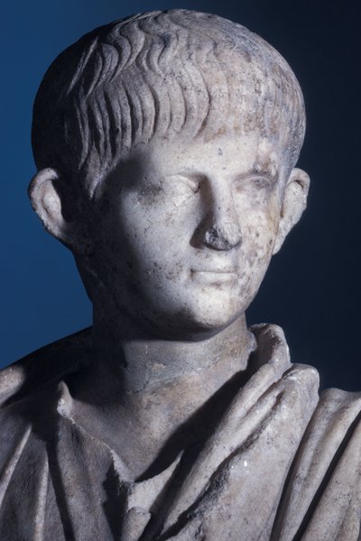 Togate statue of the young Nero, front view of the head, c.50 AD (detail) by Roman