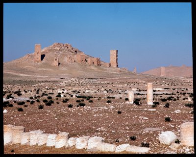 View of the tower tombs of Iamblichus and Elahbel by Roman