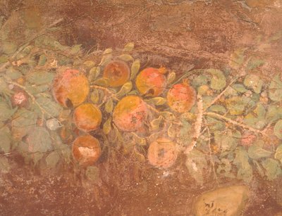 (Detail) Fresco with Decoration of Flowers and Fruit from Roman Villa of Boscoreale, Naples, Roman Civilization by Roman Roman