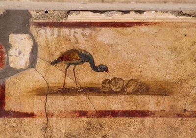 Fresco Depicting Bird from Peristylium in House of Caius Julius Polybius, Pompeii (UNESCO World Heritage List) by Roman Roman