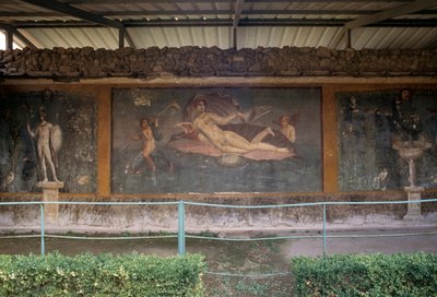 Venus in shell, fresco from peristylium in House of Venus in Shell, Pompeii by Roman Roman