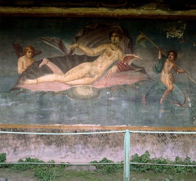 Venus Resting in the Shell by Roman Roman