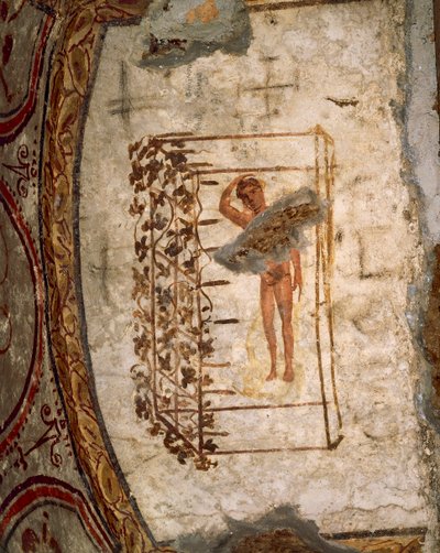 Youth, trellis and vines, 3rd-5th century AD by Roman Roman
