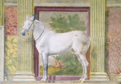 Hall of the Horses (detail) by Romano Giulio