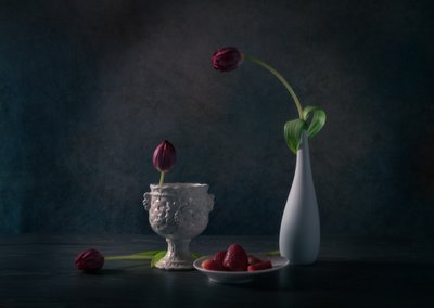 Moody Tulips And Strawberries by Rong Wei