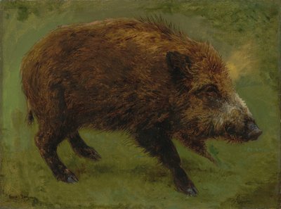 Wild Boar by Rosa Bonheur
