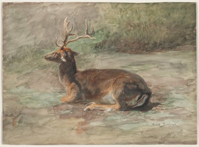 Recumbent Stag, Second Half 19th Century by Rosa Bonheur