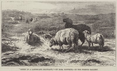 Sheep in a Landscape, Brittany by Rosa Bonheur