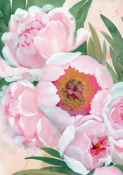 Pink Peony Blooms by Rosana Laiz Blursbyai