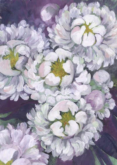 White Peony Blooms by Rosana Laiz Blursbyai