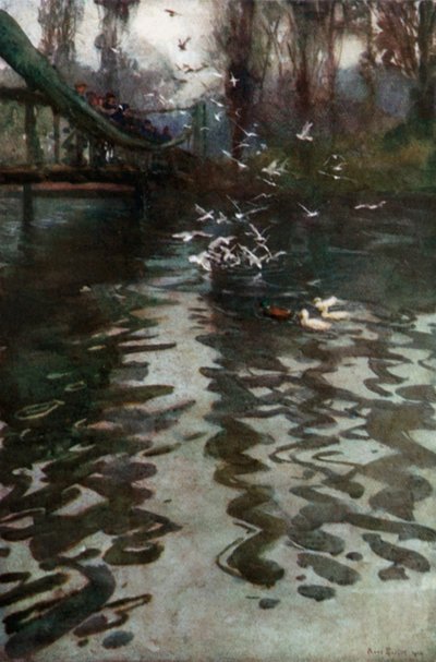 Feeding the Gulls from the Bridge in St James