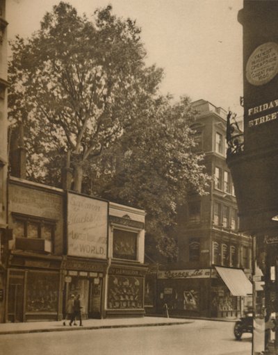 A Favoured Inmate of the City: The Plane-Tree in Cheapside, c1935 by SO Gorse