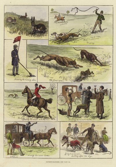 Coursing Matches by S.T. Dadd