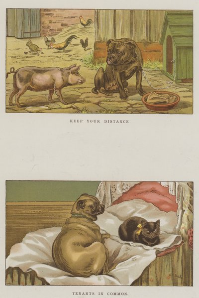 Humorous Dogs by S.T. Dadd