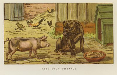 Keep Your Distance by S.T. Dadd