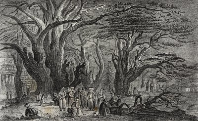 Old cedars of Lebanon in Tyre, Lebanon, lithograph by Salvatore Puglia from Poliorama Pittoresco by Salvatore Puglia