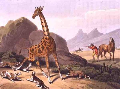 Hunting the Camelopard, engraved by Matthew Dubourg, published by Edward Orme by Samuel (after) Howitt