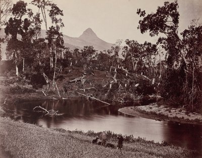 Ceylon Views to Adam