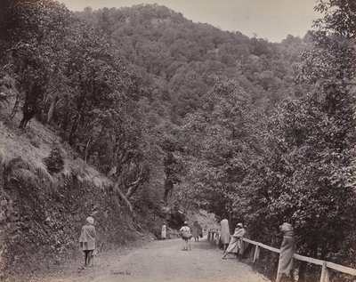 Shimla. The Mall or Principal Street by Samuel Bourne