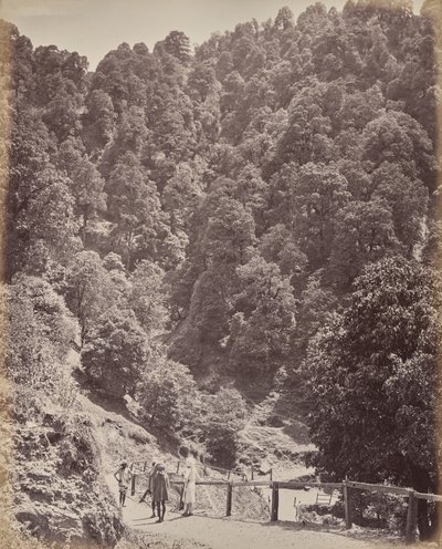 Shimla. View North of Mount Jakko by Samuel Bourne
