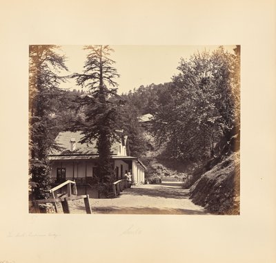 Simla; The Mall, Combermere Ridge by Samuel Bourne