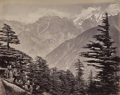 The Upper Himalayas. View near the China Mountains. Deodars in the Foreground by Samuel Bourne