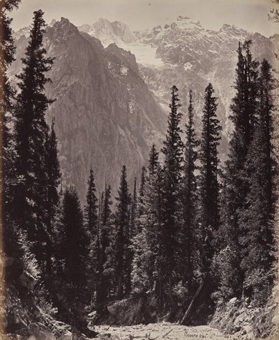 The Upper Himalayas. View in the Manga Valley by Samuel Bourne