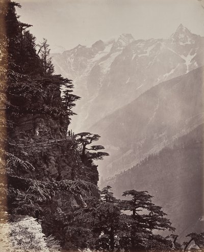 The Upper Himalayas. View on the New Road Near Rogi by Samuel Bourne