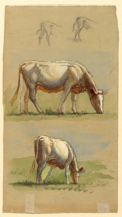 Cattle, Two Grazing Cows and the Backs of Calves by Samuel Colman