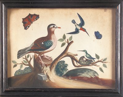 Green Wing