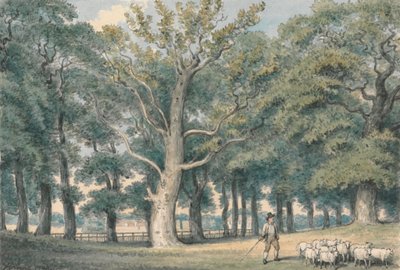 A Park Landscape with Shepherd and Sheep by Samuel Howitt
