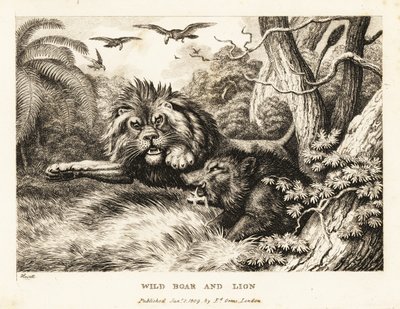 A lion and wild boar fight while vultures circle above by Samuel Howitt