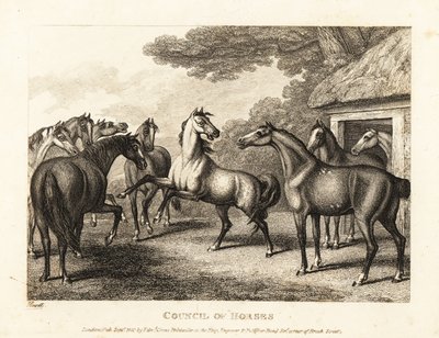 A young colt tries to stir a mutiny in the stables by Samuel Howitt