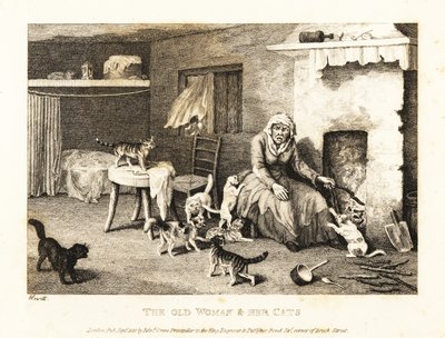 Old hag seated at the hearth in a hovel surrounded by cats by Samuel Howitt