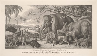 Taken from Life, amongst the numerous Assemblage at the Royal Menagerie, Exeter Exchange, Strand, London by Samuel Howitt