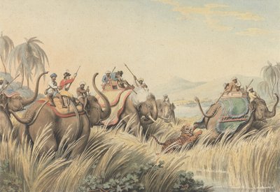 The Tiger at Bay: An Illustration for Captain Thomas Williamson