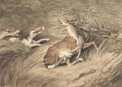 Two Hounds Attacking a Stag at Bay by Samuel Howitt