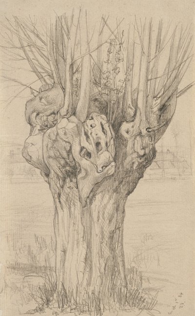 Gnarled tree by Samuel Isham
