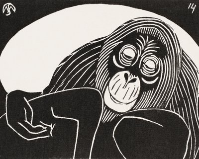 Orangutan by Samuel Jessurun de Mesquita