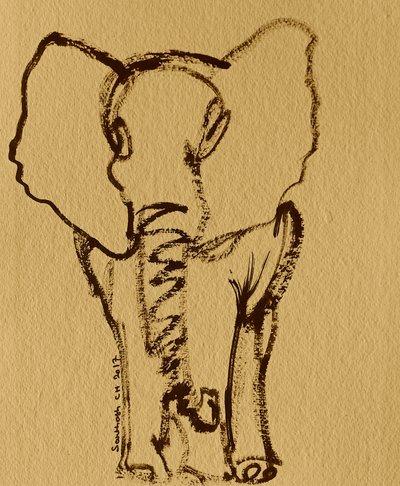 Baby Elephant Sketch by Santhosh ch