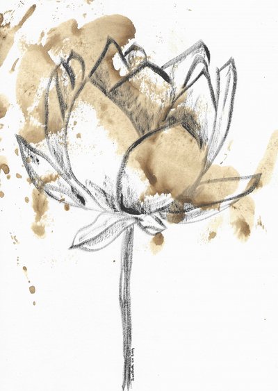Coffee Stained Lotus Bloom by Santhosh ch
