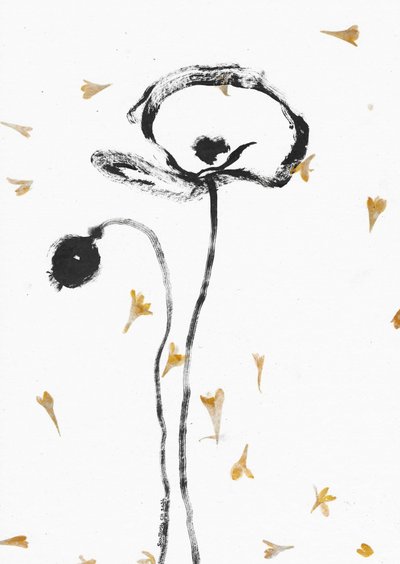 Elegant Black Poppies by Santhosh ch