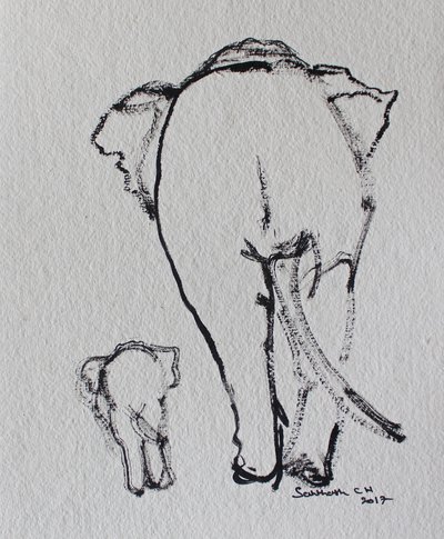 Elephant Family Walk by Santhosh ch